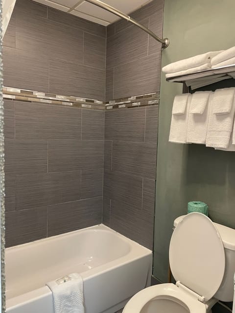 Combined shower/tub, free toiletries, hair dryer, towels