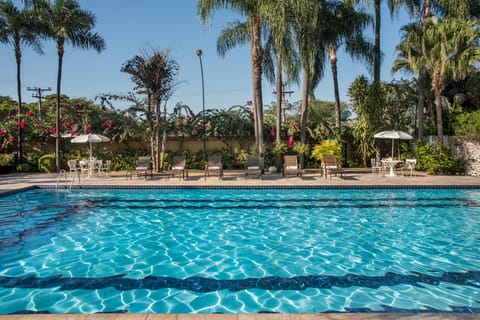 Outdoor pool, sun loungers