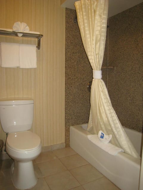 Combined shower/tub, hair dryer, towels