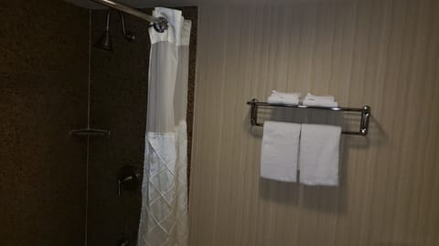 Deluxe Room, 1 King Bed, Non Smoking | Bathroom shower