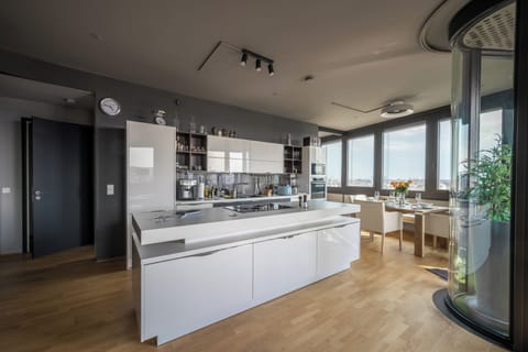 Black View, Rooftop Apartment | Private kitchen | Full-size fridge, microwave, oven, stovetop