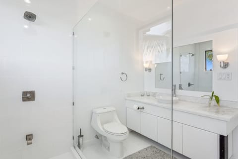 Luxury Penthouse | Bathroom | Hydromassage showerhead, free toiletries, hair dryer, bathrobes