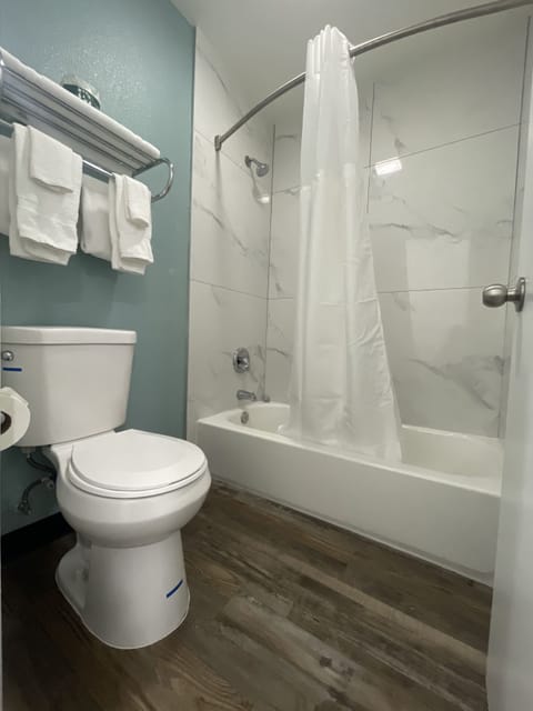 Combined shower/tub, free toiletries, hair dryer, towels