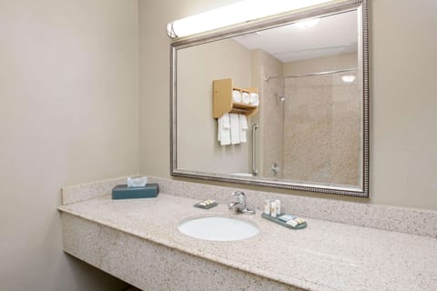 Combined shower/tub, free toiletries, hair dryer, towels