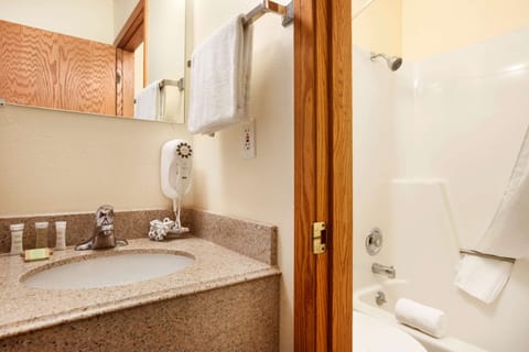 Combined shower/tub, free toiletries, hair dryer, towels