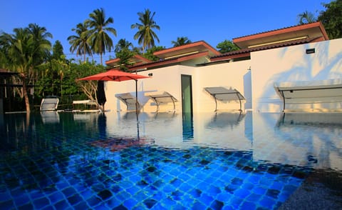 Outdoor pool, sun loungers