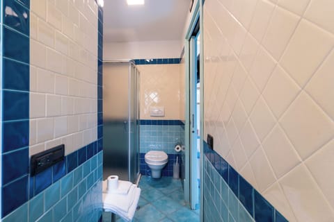 Classic Double Room | Bathroom | Shower, hair dryer, towels