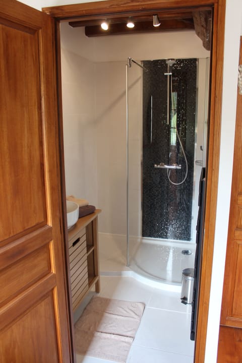 Shower, free toiletries, hair dryer, towels