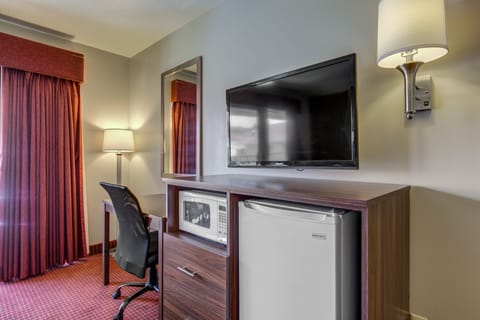 Suite, 1 King Bed, Non Smoking | In-room business center