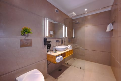 Deluxe Twin Room | Bathroom | Shower, rainfall showerhead, free toiletries, hair dryer