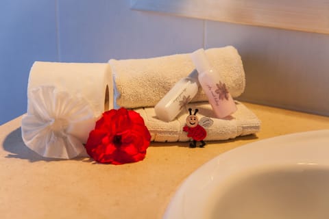 Standard Double Room | Bathroom amenities | Combined shower/tub, hair dryer, towels, soap