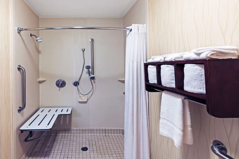 Room, 1 King Bed, Accessible, Non Smoking | Bathroom shower