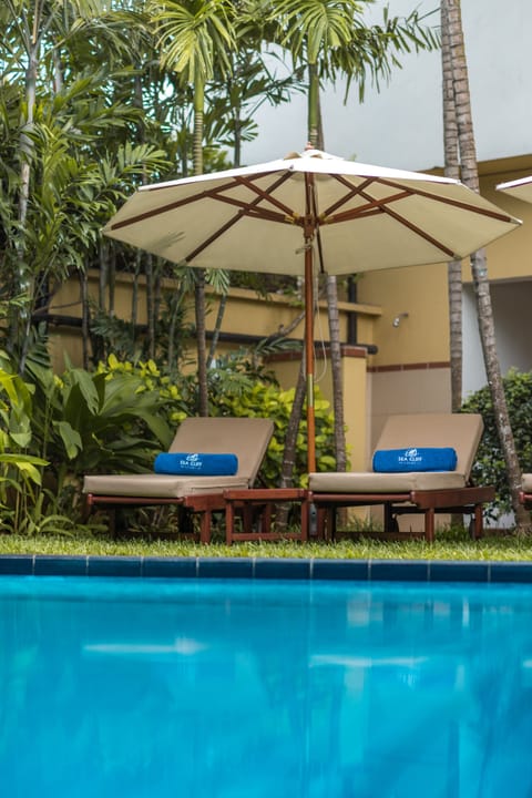 Outdoor pool, pool umbrellas, sun loungers