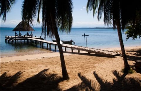 On the beach, white sand, sun loungers, scuba diving