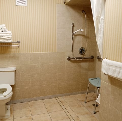 Room, 1 King Bed, Accessible, Non Smoking | Bathroom | Combined shower/tub, hair dryer, towels