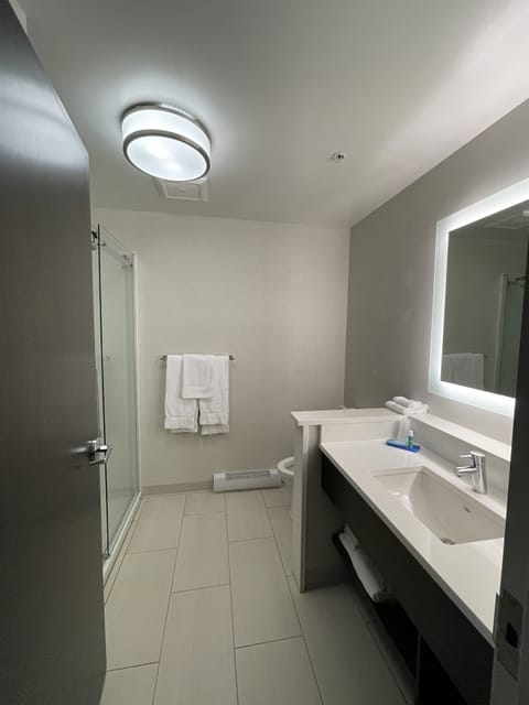 Suite, 1 King Bed with Sofa bed | Bathroom | Shower, free toiletries, hair dryer, towels