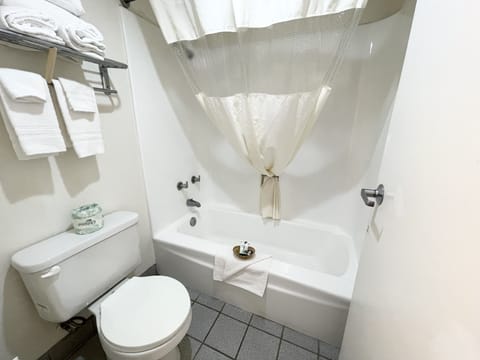 Combined shower/tub, free toiletries, towels