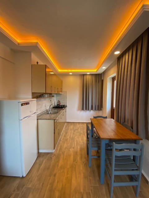 Family Apartment, 1 Bedroom | Private kitchen | Fridge, microwave