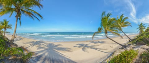 Beach nearby, white sand