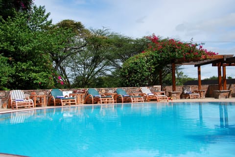 Outdoor pool, sun loungers