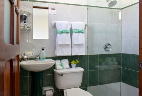 Standard Double or Twin Room | Bathroom | Shower, free toiletries, hair dryer, towels