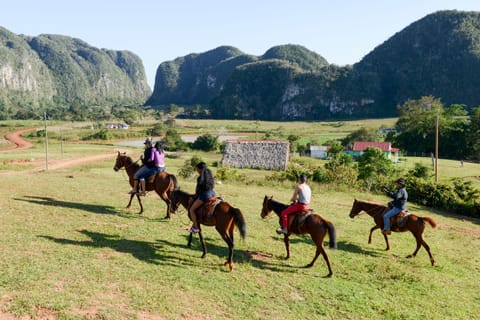 Horseback riding