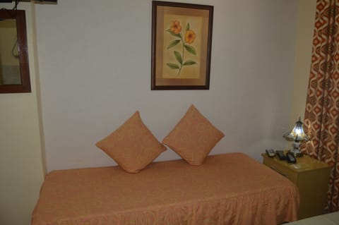 Basic Double or Twin Room | Minibar, iron/ironing board, WiFi