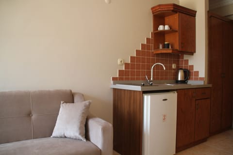 Standard Studio, 1 Bedroom, Sea View | Private kitchenette | Stovetop, dishwasher, electric kettle