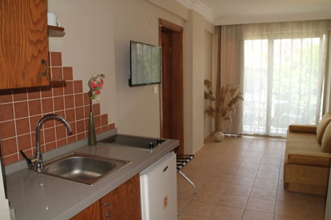 Family Apartment, 1 Bedroom, Garden View | Private kitchenette | Stovetop, dishwasher, electric kettle