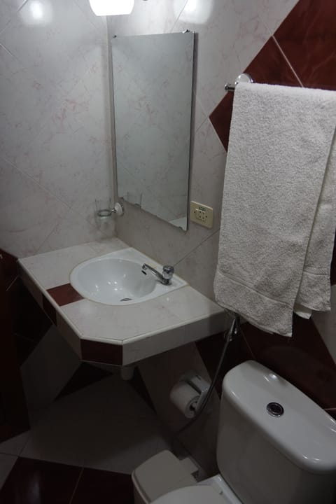 Double or Twin Room | Bathroom | Shower, free toiletries, hair dryer, towels