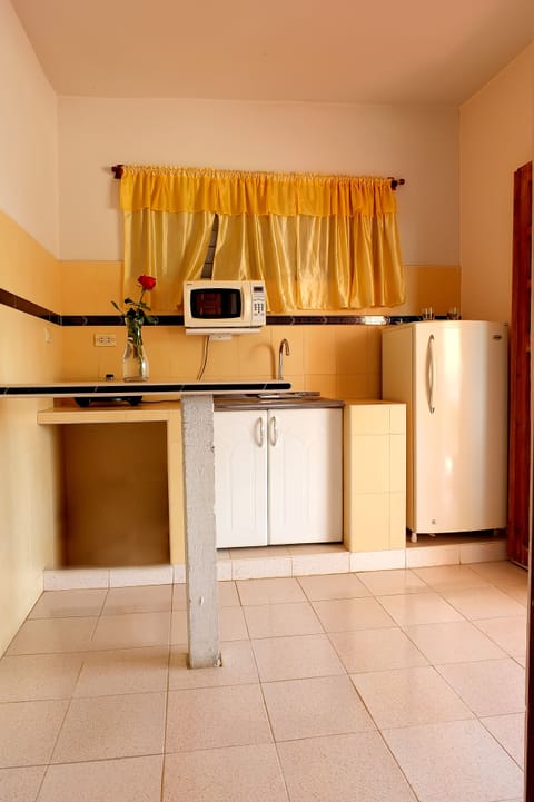 Double Room | Private kitchenette | Full-size fridge, dishwasher, cookware/dishes/utensils