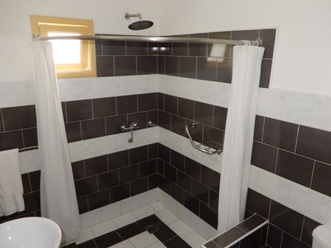 Superior Double or Twin Room | Bathroom shower