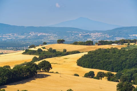 Premium bedding, down comforters, in-room safe, iron/ironing board