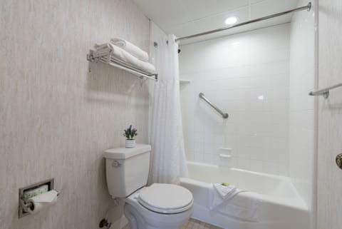 Combined shower/tub, free toiletries, hair dryer, towels