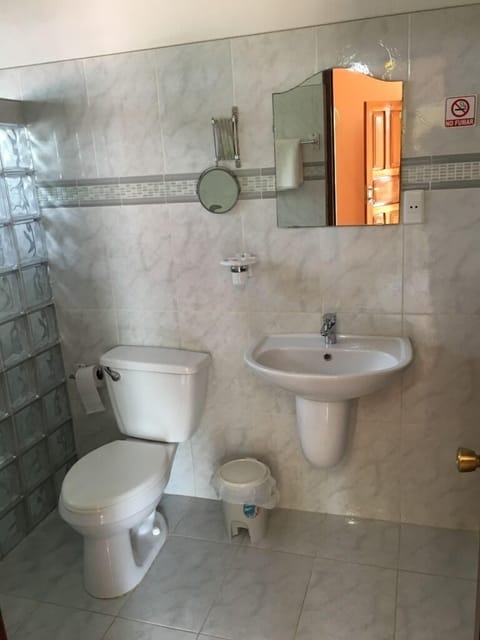 Double Room | Bathroom | Shower, free toiletries, hair dryer, towels