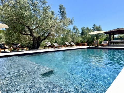 Outdoor pool, sun loungers