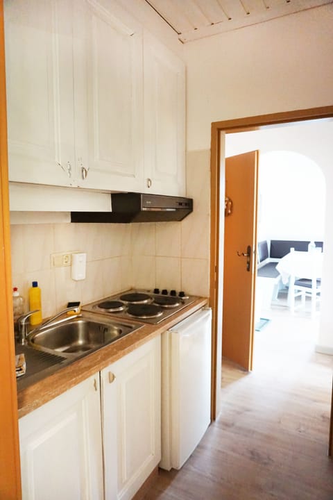 Family Apartment, 2 Bedrooms, Mountain View | Private kitchenette