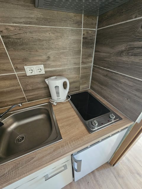 Family Apartment, 2 Bedrooms, Mountain View | Private kitchen