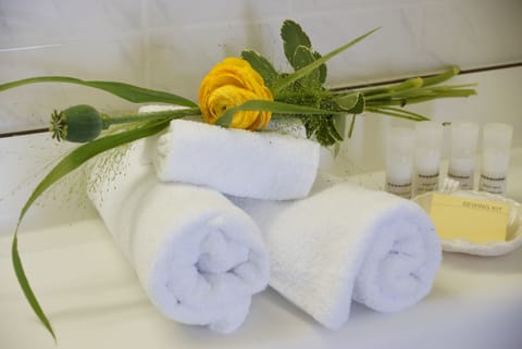 Comfort Single Room | Bathroom amenities | Shower, hair dryer, towels, soap