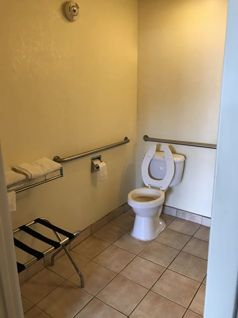 Combined shower/tub, free toiletries, hair dryer, towels