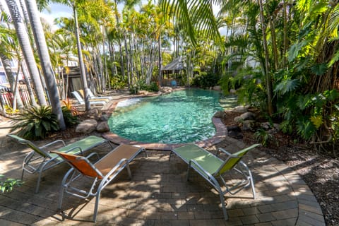 Outdoor pool, sun loungers