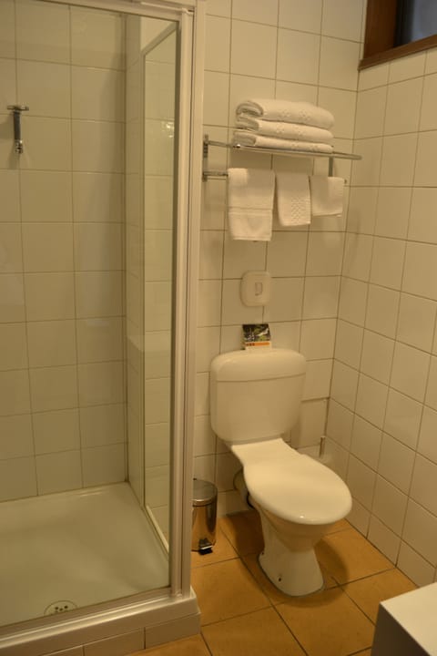 Standard Twin Room | Bathroom | Shower, free toiletries, hair dryer, towels