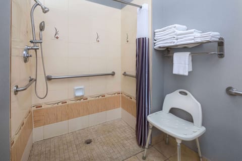 Combined shower/tub, free toiletries, hair dryer, towels