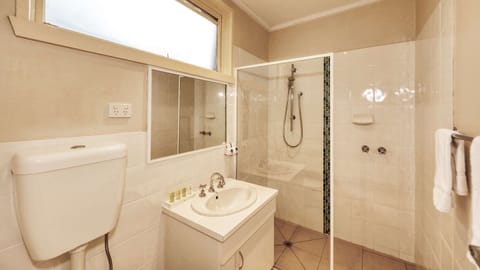 Deluxe Room, 1 Queen Bed, Non Smoking | Bathroom | Shower, free toiletries, hair dryer, towels