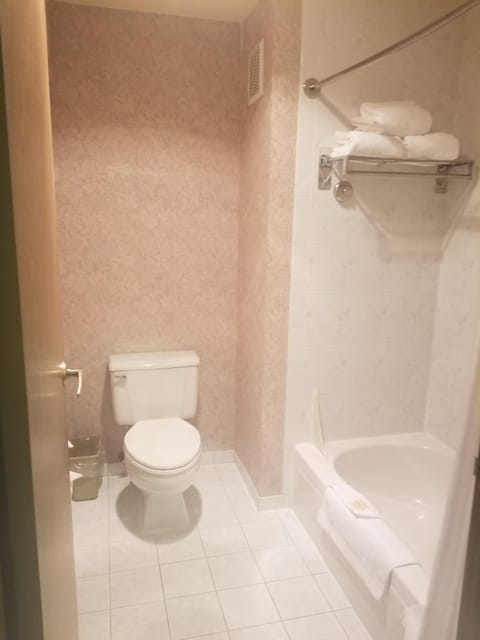 Combined shower/tub, free toiletries, hair dryer, towels