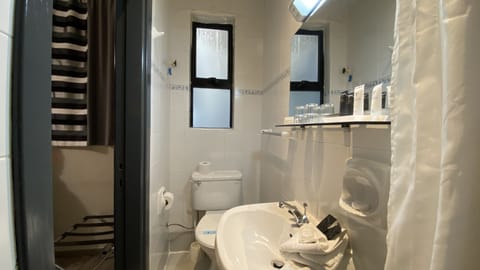 Combined shower/tub, free toiletries, hair dryer, towels