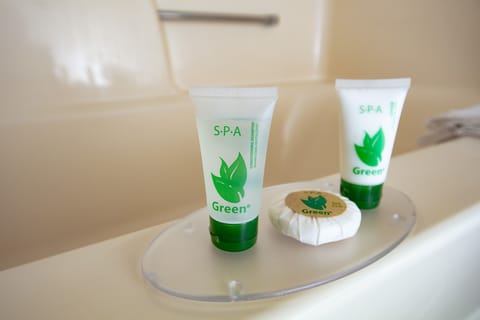 1 bedroom, desk, soundproofing, free WiFi