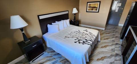 Room, 1 King Bed, Smoking | Select Comfort beds, iron/ironing board, free WiFi