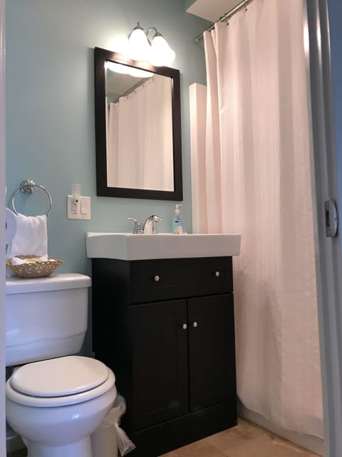 Room, 1 Queen Bed, Kitchenette, Lake View (Eagle Point) | Bathroom | Shower, hair dryer, towels