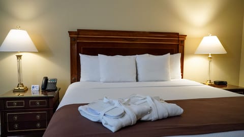 Executive Suite | Hypo-allergenic bedding, desk, soundproofing, free WiFi